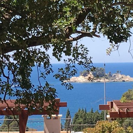 Villa Julia Petrovac Ngoại thất bức ảnh