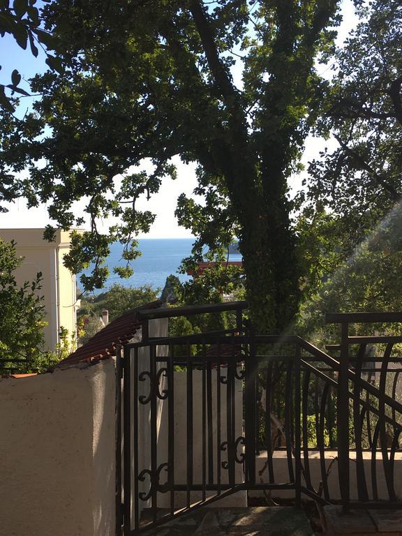 Villa Julia Petrovac Ngoại thất bức ảnh