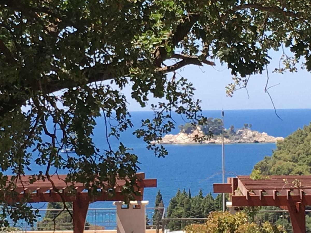 Villa Julia Petrovac Ngoại thất bức ảnh